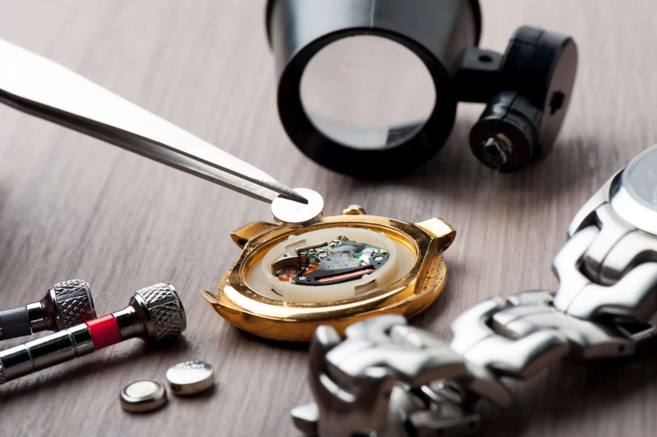 Watch Battery Image